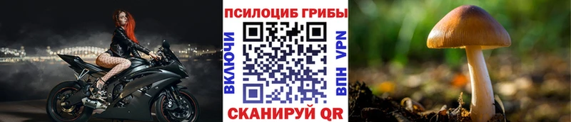 дарк нет официальный сайт  Ейск  Галлюциногенные грибы GOLDEN TEACHER  продажа наркотиков 